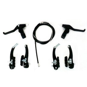 Nunc congue dui nec...