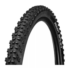 Nunc congue dui nec...